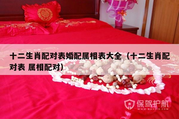 十二生肖配对表婚配属相表大全（十二生肖配对表 属相配对）-第1张图片