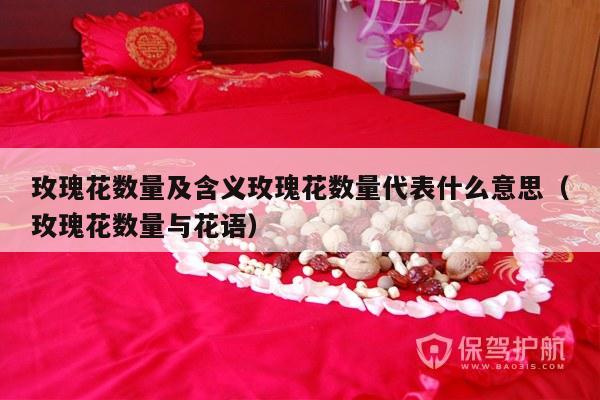 玫瑰花数量及含义玫瑰花数量代表什么意思（玫瑰花数量与花语）-第1张图片
