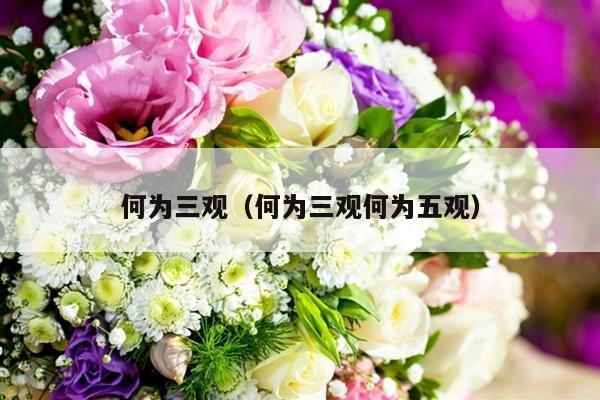 何为三观（何为三观何为五观）-第1张图片
