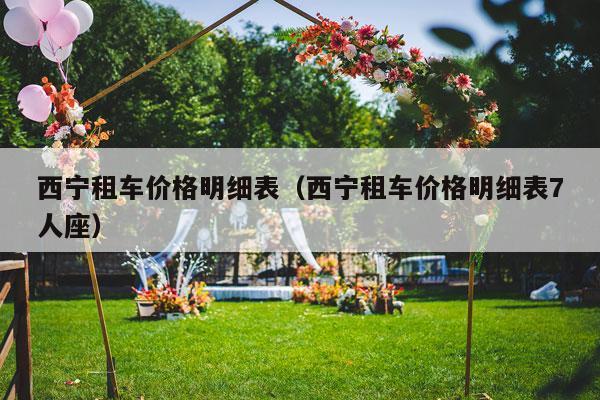 西宁租车价格明细表（西宁租车价格明细表7人座）-第1张图片