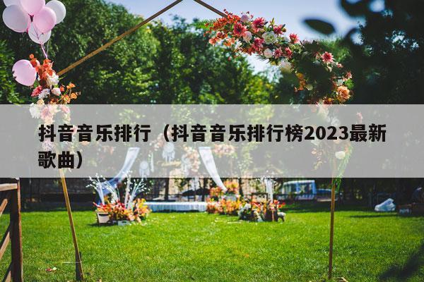 抖音音乐排行（抖音音乐排行榜2023最新歌曲）-第1张图片
