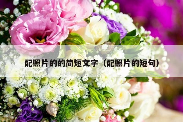 配照片的的简短文字（配照片的短句）-第1张图片