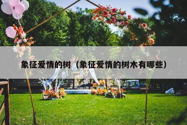 象征爱情的树（象征爱情的树木有哪些）-第1张图片