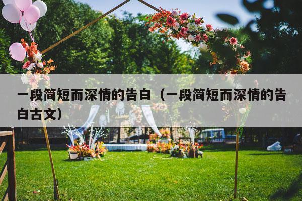 一段简短而深情的告白（一段简短而深情的告白古文）-第1张图片