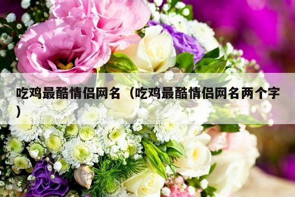 吃鸡最酷情侣网名（吃鸡最酷情侣网名两个字）-第1张图片
